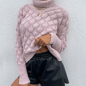 Turtle Neck Ribbed Long Sleeve Sweater